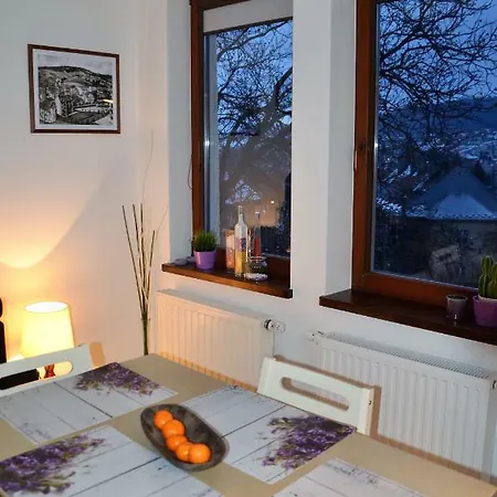 Przy Zrodelku Apartmán Krynica-Zdrój